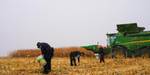 风雪为令  冰城公安浴“雪”守护平安路