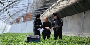 守好“耕地中的大熊猫”  冰城公安全方位筑牢黑土地保护屏障