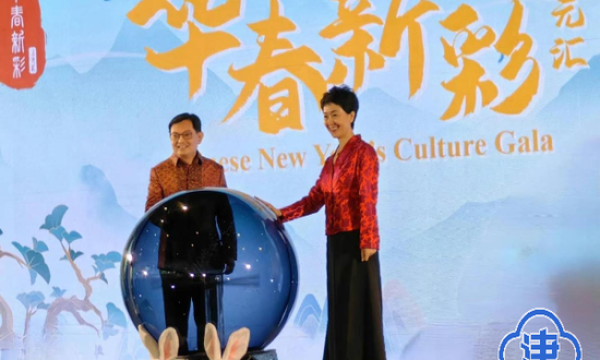 促进民间文化交流 天津“非遗”项目走进新加坡